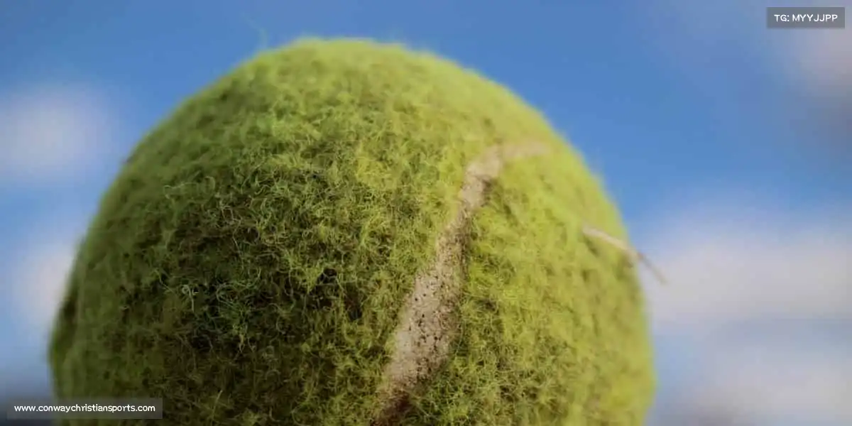 鲸体育——🌟坚持热爱，超越自我！🏇